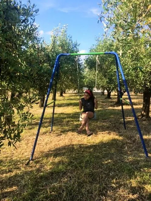 La casa delle rondini Appartamento Piombino