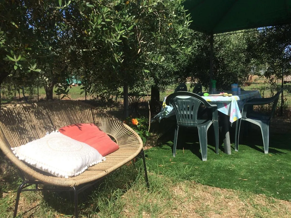 La Casa Delle Rondini Apartment Piombino